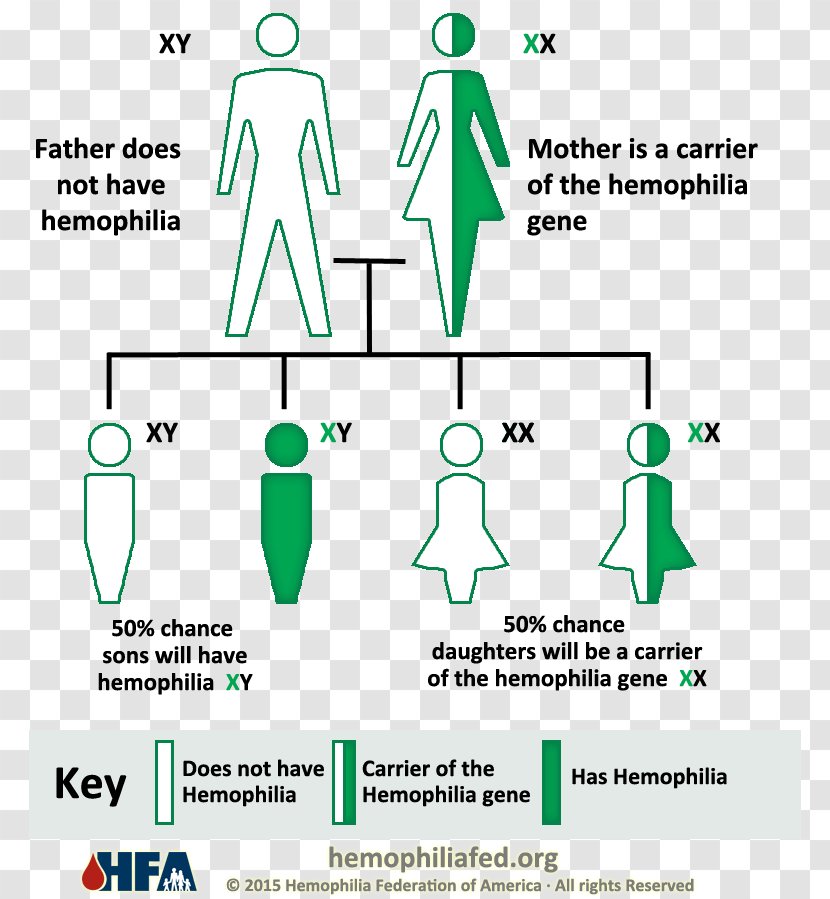 Haemophilia A Genetic Disorder B Coagulopathy - Hematology - Blood Transparent PNG