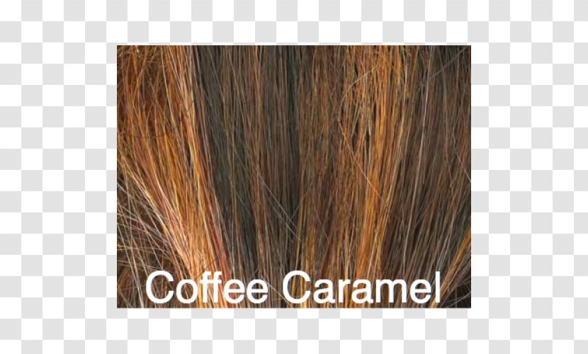 Brown Hair Long Caramel Color Coloring Transparent PNG