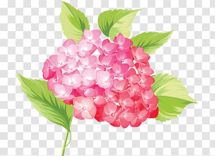 Flower Clip Art - Flowering Plant Transparent PNG