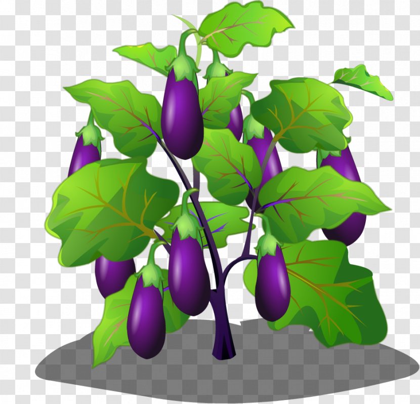 Eggplant Vegetable Cartoon - Tree Transparent PNG