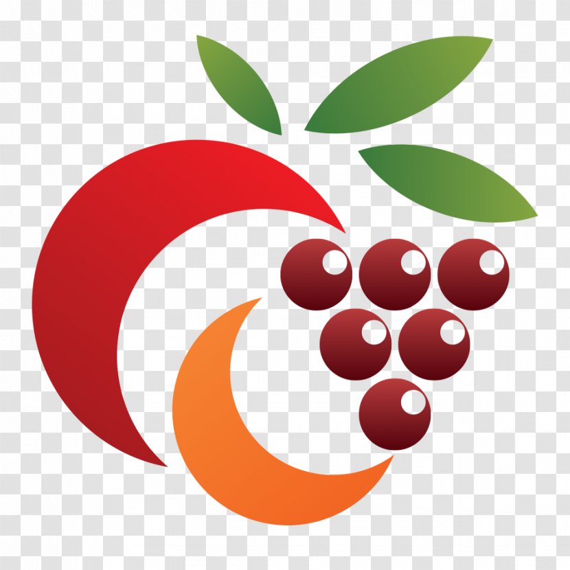 Logo Fruit Clip Art - Flower - B2B Transparent PNG
