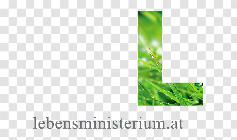 States Of Germany Ministry Sustainability And Tourism Bundesministerium - Bundesminister - Agriculture Forestry Transparent PNG