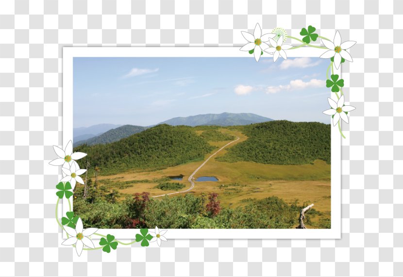 Ecosystem Land Lot Grassland Hill Station Energy - Farm Transparent PNG