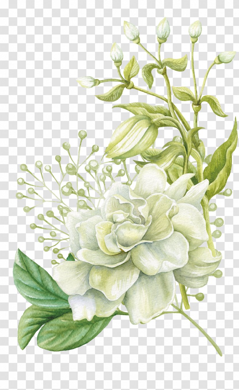 Watercolor Painting Floral Design Flower - Plant - Hand Painted Flowers Transparent PNG