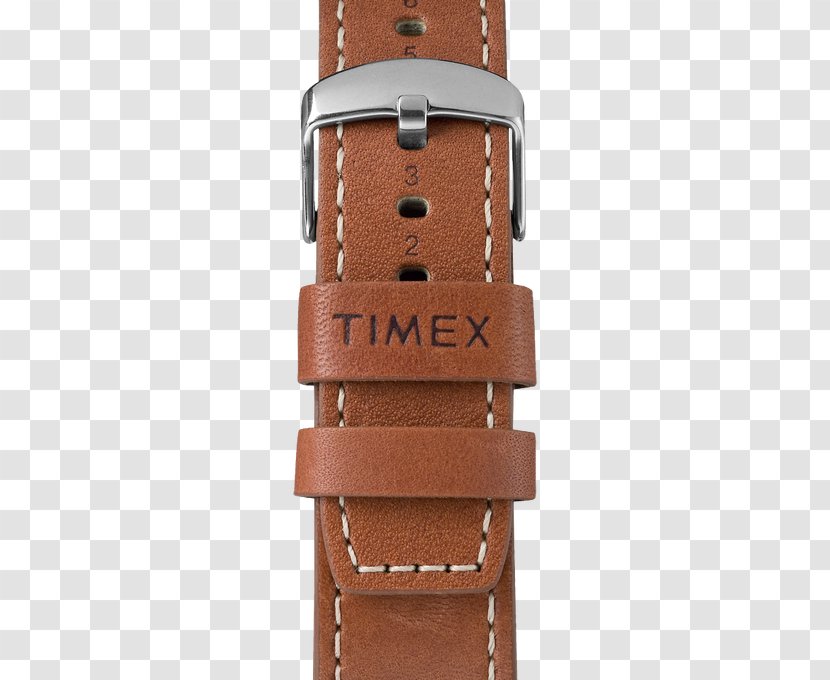 Timex Group USA, Inc. Watch Clock Strap The Waterbury Chronograph - Usa Inc Transparent PNG