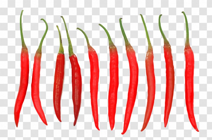Tabasco Pepper Cayenne Chili - Bell Peppers And - A Row Of Red Transparent PNG