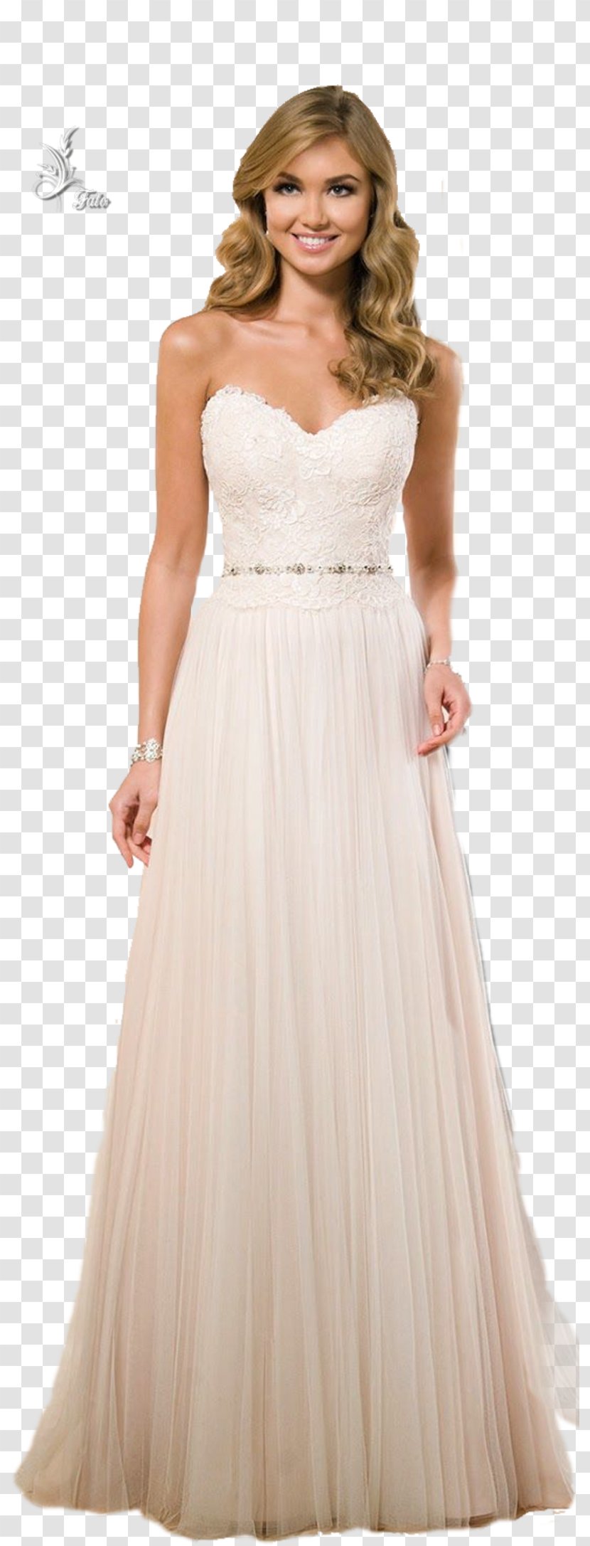 Sophia Tolli Wedding Dress Bride Gown - Frame Transparent PNG