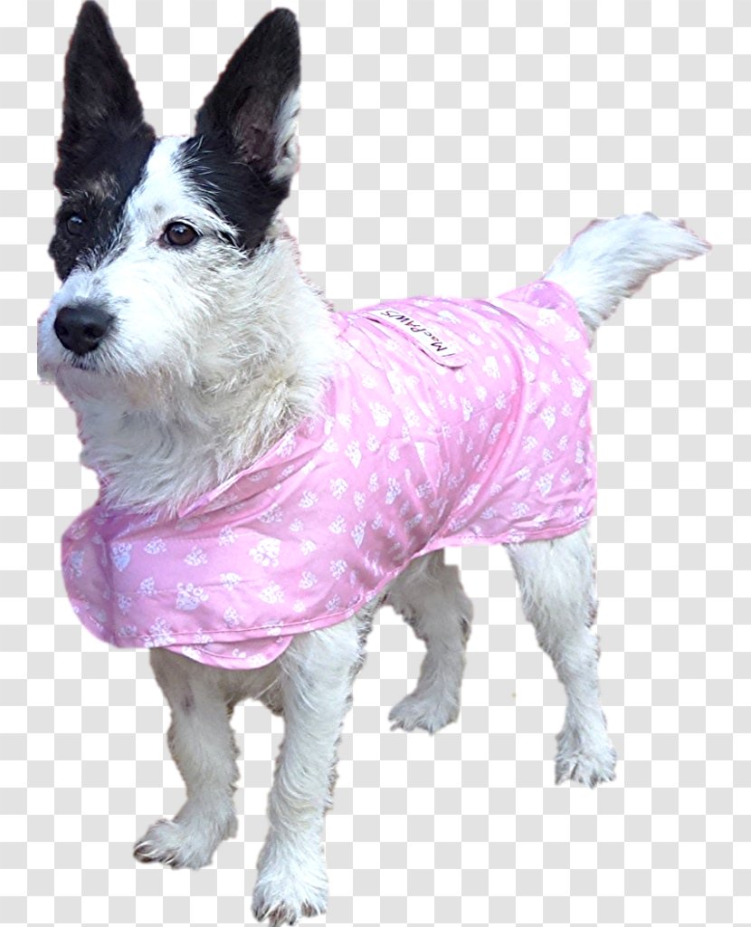 Dog Breed Raincoat Pet - Like Mammal Transparent PNG