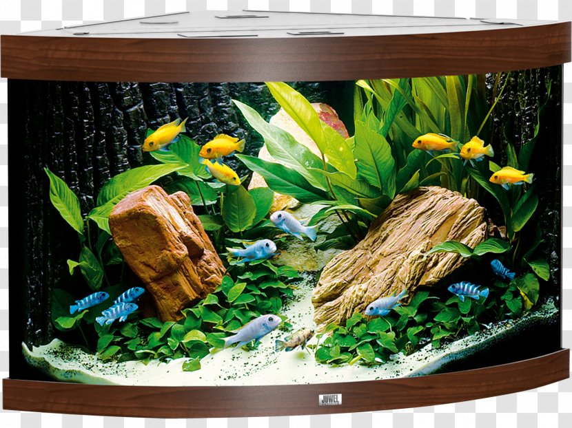 Aquarium Filters Goldfish Juwel Heater - Fluorescent Lamp Transparent PNG