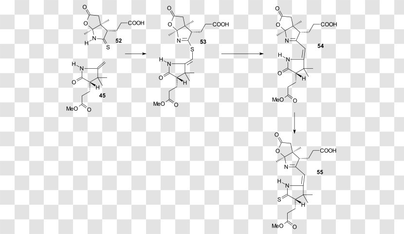Vitamin B12 Total Synthesis B-12 Cyanocobalamin - Document Transparent PNG