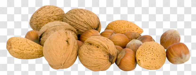 Walnut Icon - Nuts Seeds Transparent PNG