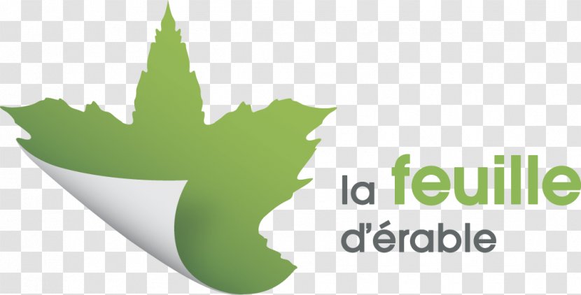 Maple Leaf Paper La Feuille D'Erable - Recycling Transparent PNG