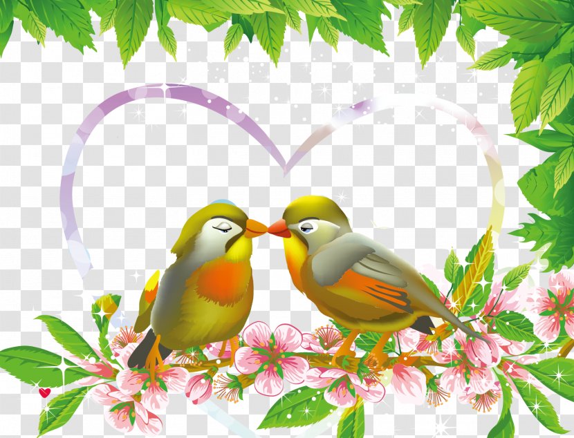 Lovebird Euclidean Vector - Love Birds Transparent PNG