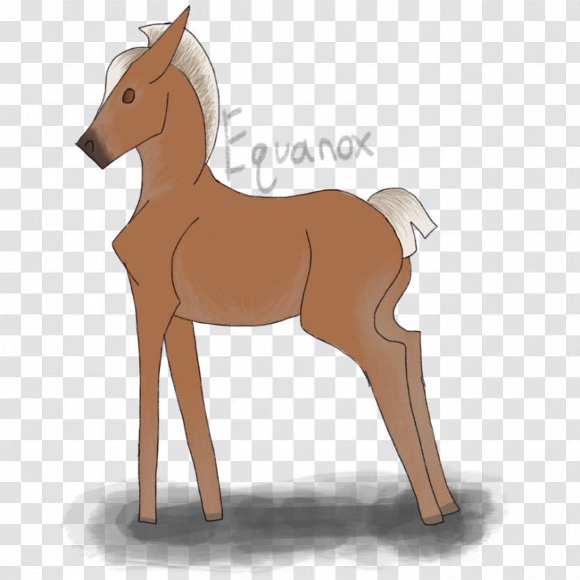 Mule Foal Stallion Colt Mare - Mustang Horse Transparent PNG