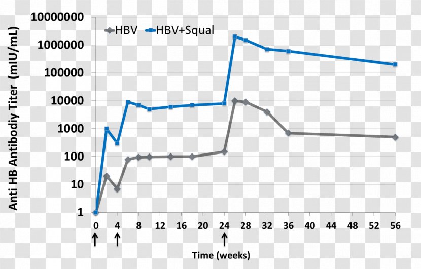 Freund's Adjuvant Squalene Vaccine Antibody - Hepatitis B - Sterilized Virus Transparent PNG