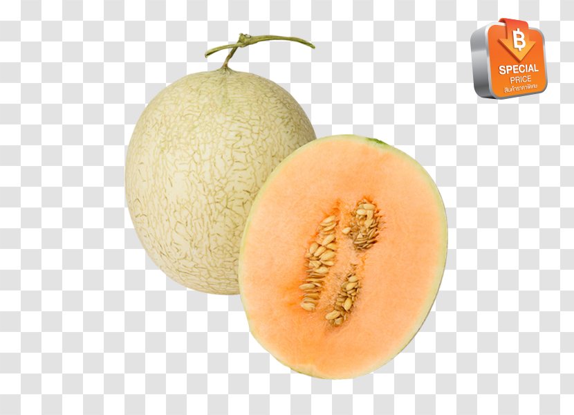 Cantaloupe Honeydew Galia Melon Fruit - Nut - Cantaloup Transparent PNG