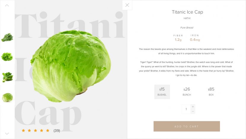 Lettuce Leaf Vegetable Brand - Lactuca Transparent PNG