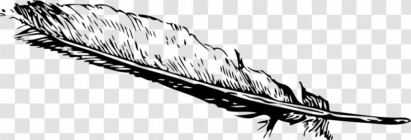 Eagle Feather Law Clip Art - Mammal Transparent PNG