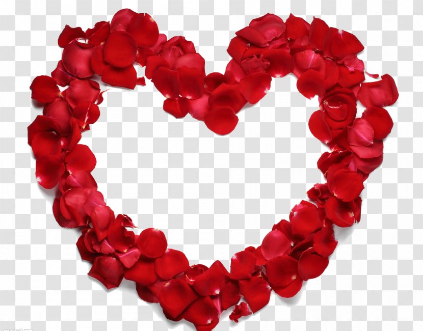 Heart Beach Rose Petal Flower - Romance - Heart-shaped Frame Transparent PNG