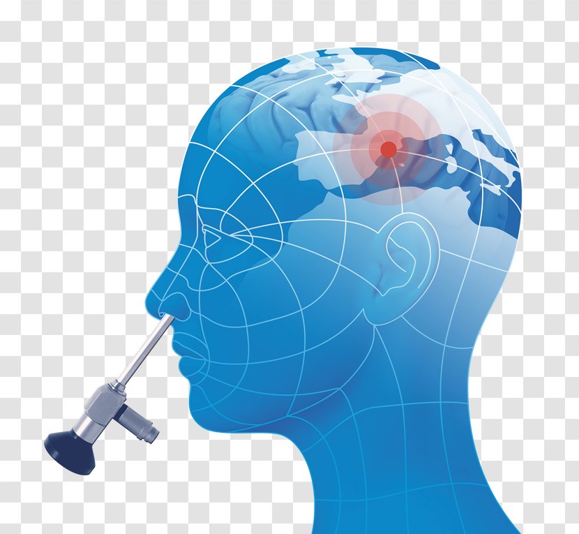 Endoscopic Surgery Of The Paranasal Sinuses And Anterior Skull Base Digital Dentistry - Gaudi Transparent PNG