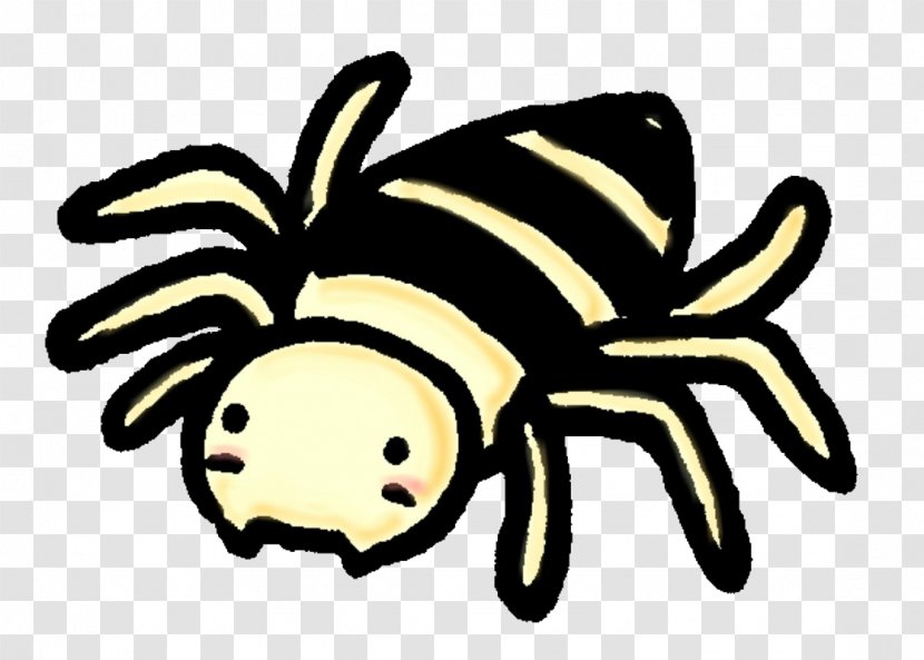 Jumping Spider 虫 Tarantula - Pollinator Transparent PNG