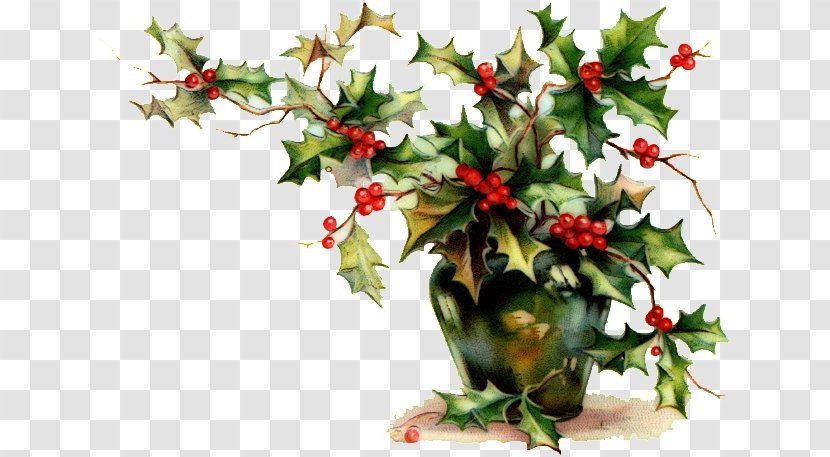 Christmas Ornament Decoration Common Holly Mistletoe - Vice Transparent PNG