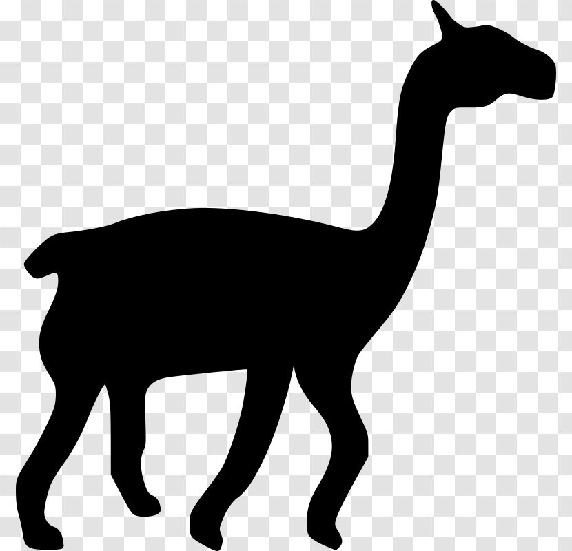 Llama Silhouette Drawing Clip Art - Camel Like Mammal Transparent PNG