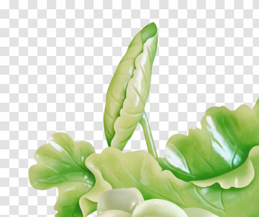 CorelDRAW Download - Plant Stem - Green Lotus Transparent PNG