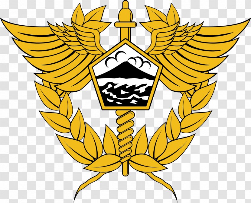 Indonesia Directorate General Of Customs And Excise Organization - Service - Yellow Transparent PNG