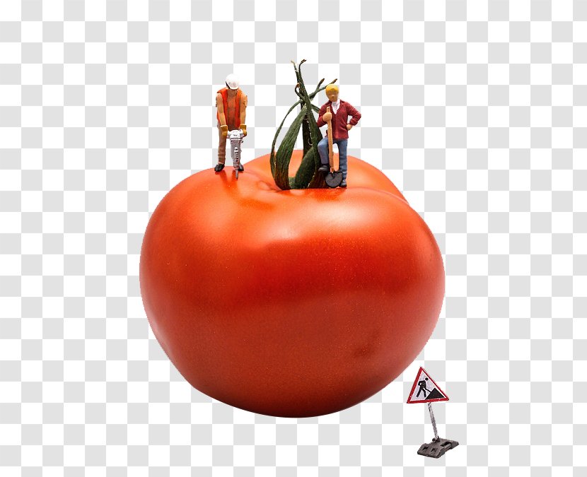 Talent Management System Learning Motivation Distraction - Building - Tomato On Creative Construction Transparent PNG