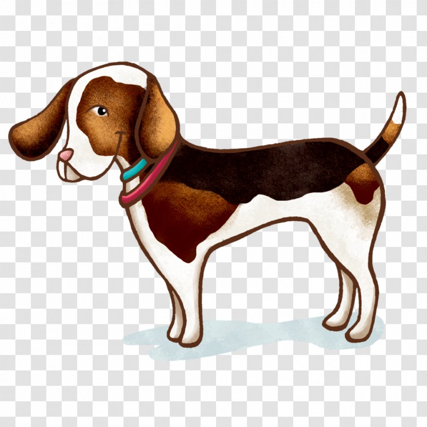 Treeing Walker Coonhound English Foxhound Beagle American Harrier - Paws Transparent PNG