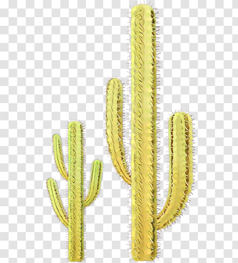 Cactus Cartoon - Plants - Terrestrial Plant Flower Transparent PNG