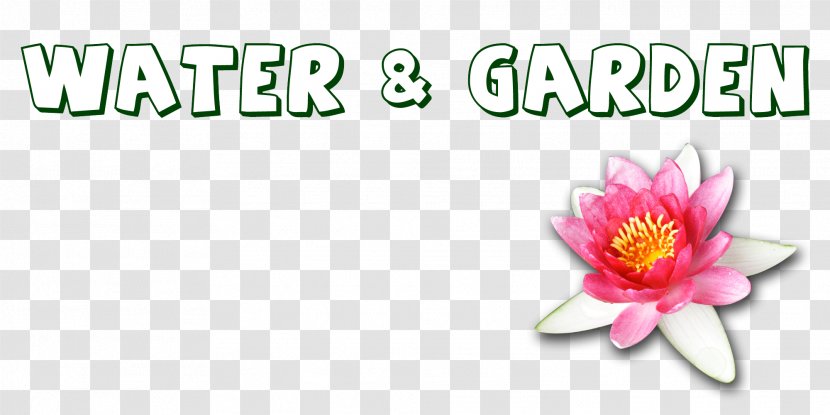 Cut Flowers Water Dog Brand Font - Food Transparent PNG