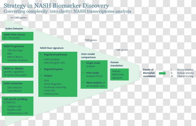 Non-alcoholic Fatty Liver Disease Biomarker Steatohepatitis - Nonalcoholic - Nash Transparent PNG