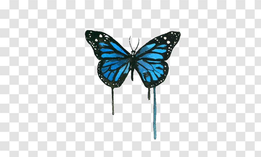 Monarch Butterfly Insect Watercolor Painting - Blue Transparent PNG