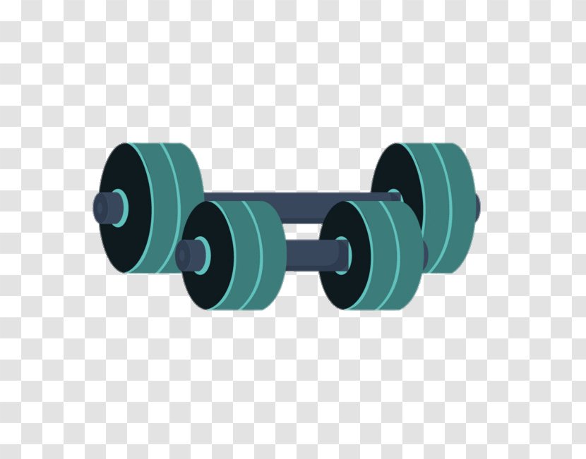 Exercise Equipment Physical Fitness Dumbbell Barbell Transparent PNG