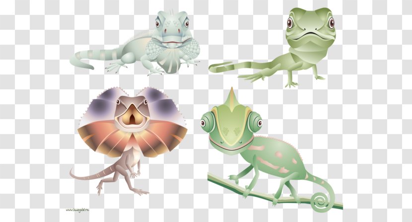 Lizard Chameleons Reptile Frog Vector Graphics - Scaled Reptiles Transparent PNG