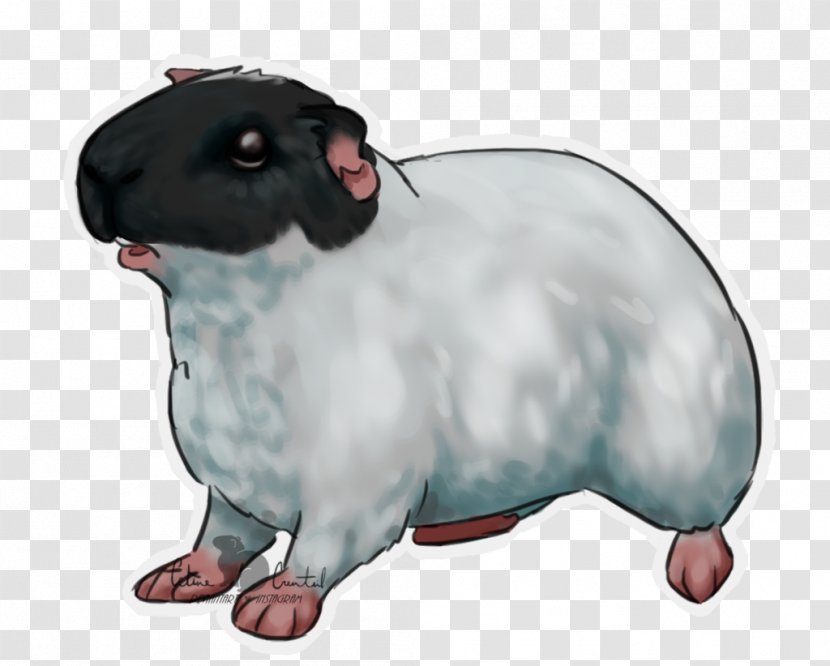 Rat Sheep Dog Pet Mammal - Guinea Pig Transparent PNG