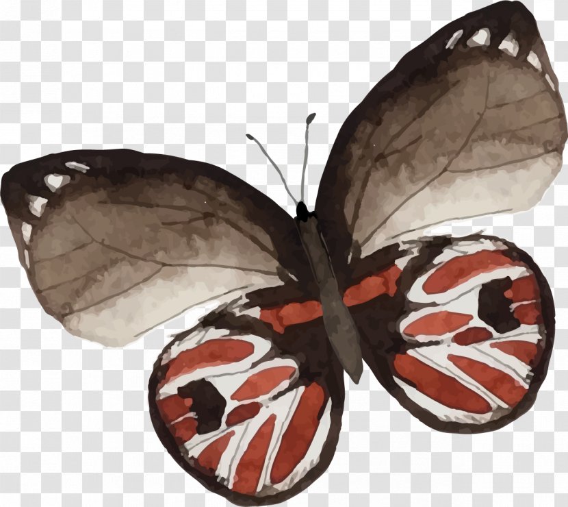 Butterfly Painting Drawing - Insect - Pattern Transparent PNG