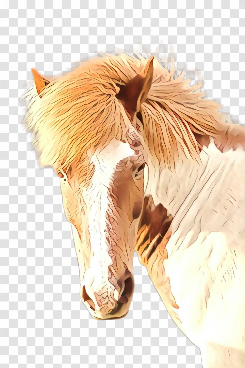 Horse Head Mane Snout Mustang - Cartoon - Sorrel Fur Transparent PNG