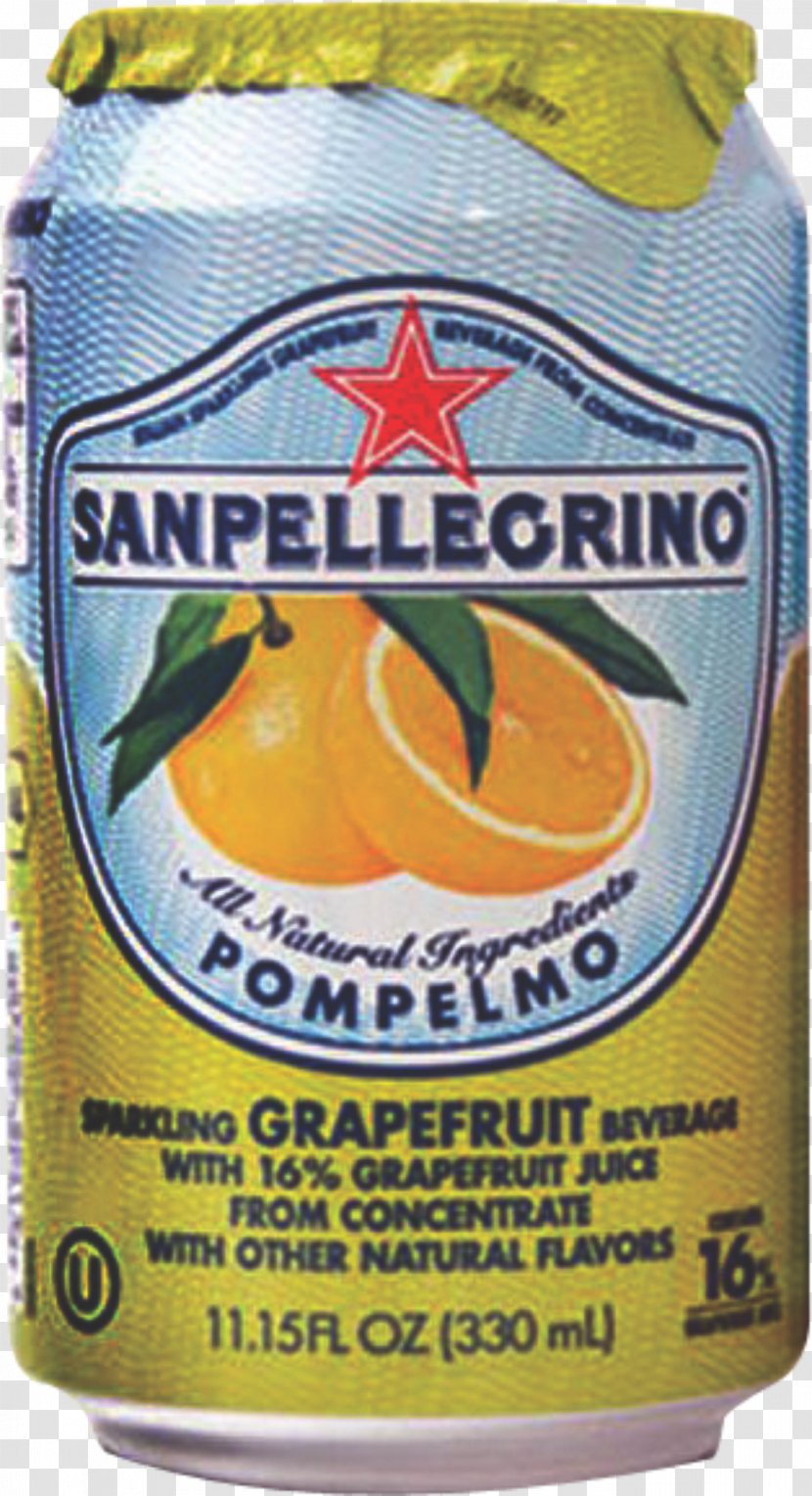 Fizzy Drinks Drink Mixer Carbonated Water S.Pellegrino Sanpellegrino S.p.A. - Fruit Transparent PNG