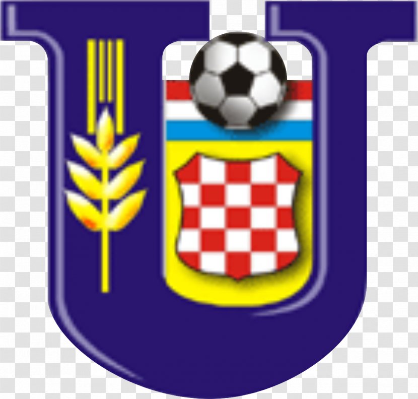 Brisbane Knights FC Premier League Football Australian-Croatian Soccer Tournament - Team Transparent PNG