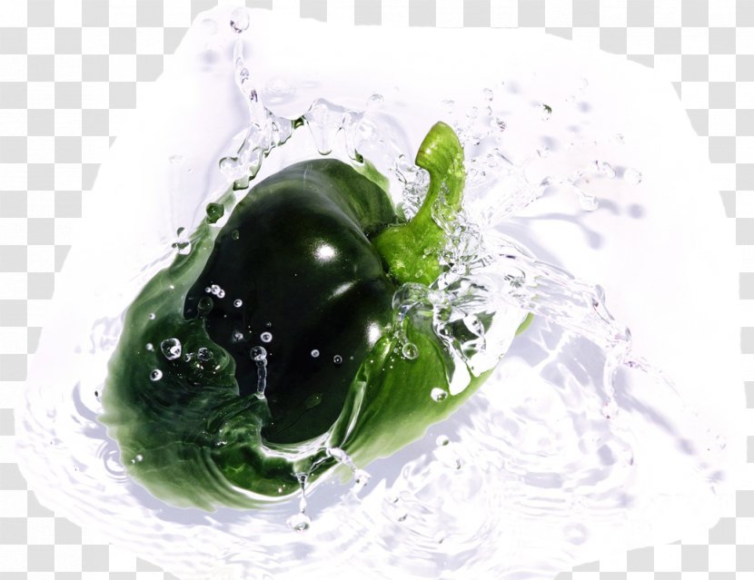 Vegetable Food Fruit Eating - Organism - Water Splash Transparent PNG
