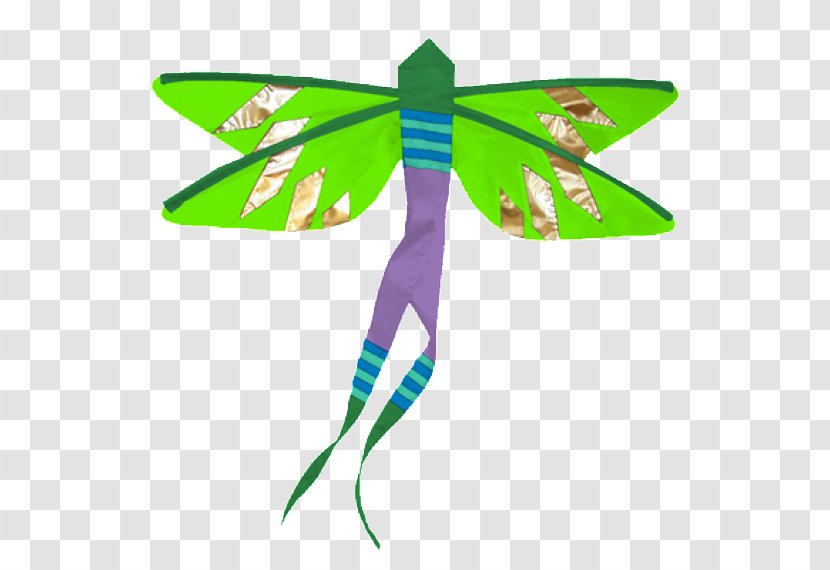 Insect Dragonfly Damselfly Butterfly Animal - Pollinator - Hanging Flags Transparent PNG