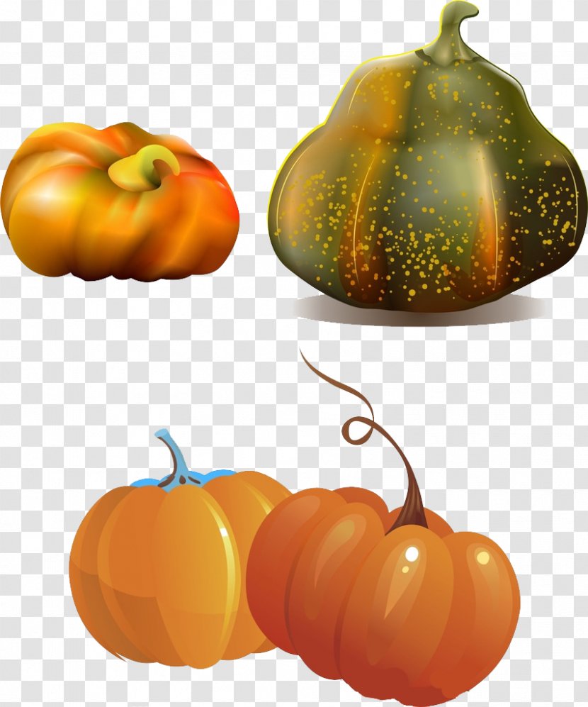 Jack-o-lantern Calabaza Pumpkin Gourd Winter Squash - Cucurbita - Cartoon Transparent PNG