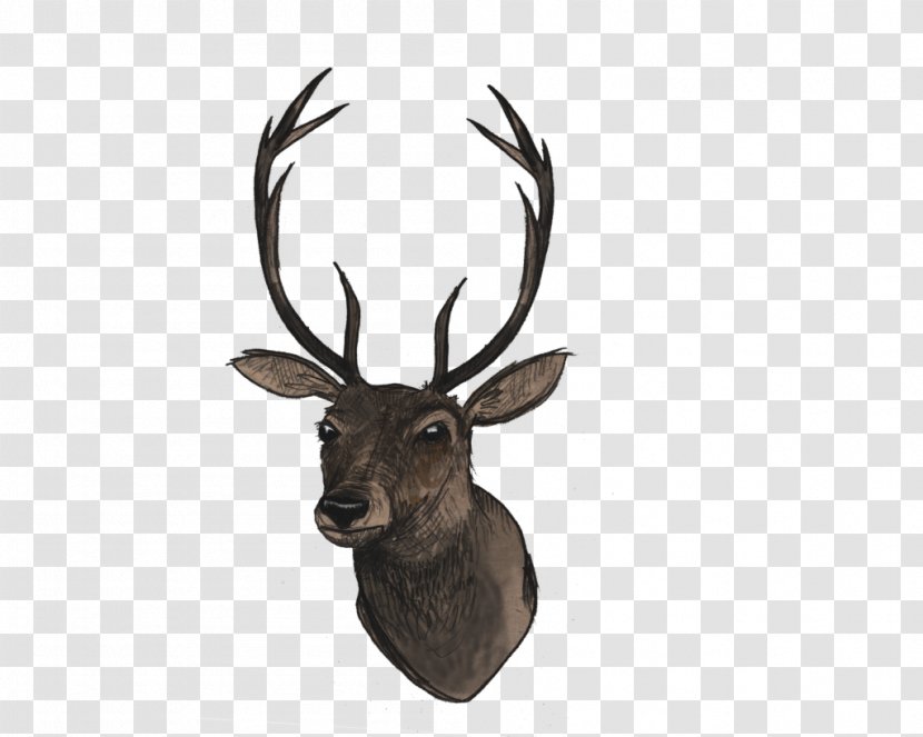 White-tailed Deer Clip Art - Sika Transparent PNG