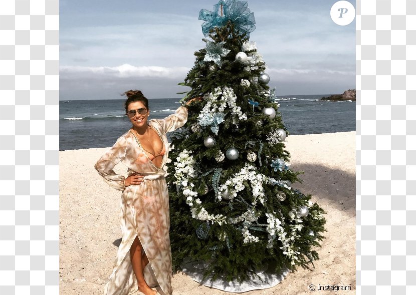 Beach Celebrity Christmas Actor New Year Tree - Silhouette - Eva Longoria Transparent PNG