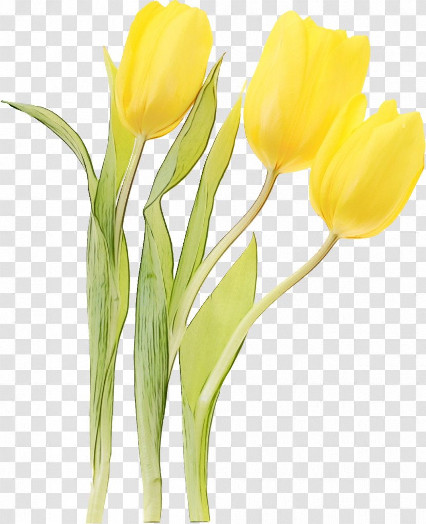 Artificial Flower Transparent PNG