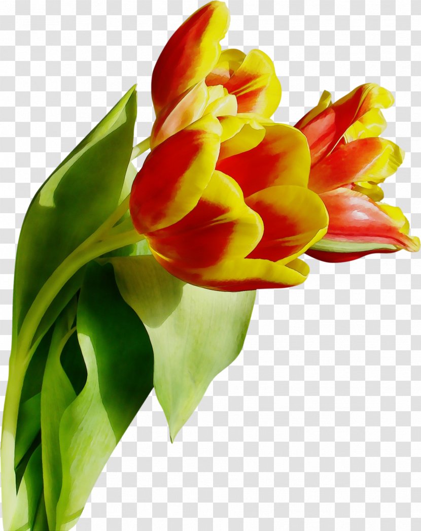 Artificial Flower - Yellow - Tulip Transparent PNG