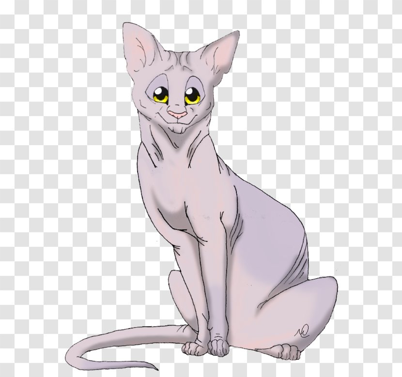 Donskoy Peterbald Devon Rex Korat Whiskers - Kitten Really Cute For Teachers Transparent PNG